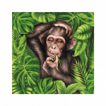 magnet-wild-affe