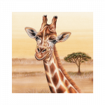 magnet-wild-giraffe