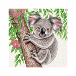 magnet-wild-koala