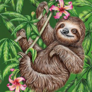 Postkarte Wild Faultier