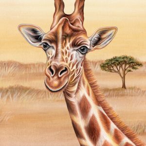 Postkarte Wild Giraffe