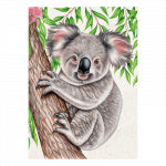 postkarte-wild-koala