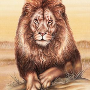 Postkarte Wild Löwe