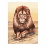 postkarte-wild-loewe