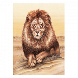 Postkarte Wild Löwe