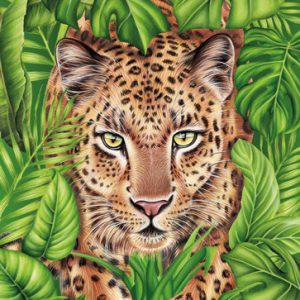 Postkarte Wild Leopard