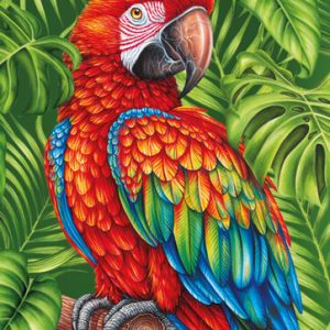 Postkarte Wild Papagei