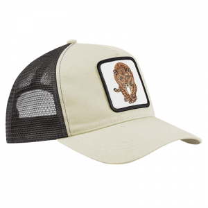 CAP - Leopard