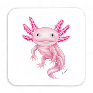 Untersetzer 9x9 - Axolotl