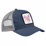 cap-axolotl