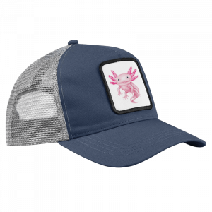 CAP - Axolotl