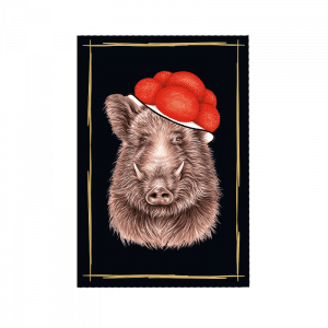 Magnet Schwarzwald Bollenhut Keiler