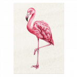 postkarte-flamingo