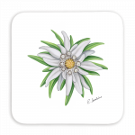 untersetzer-9x9-edelweiss
