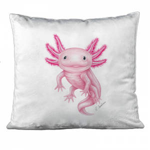 KISSEN - Axolotl