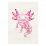 postkarte-axolotl